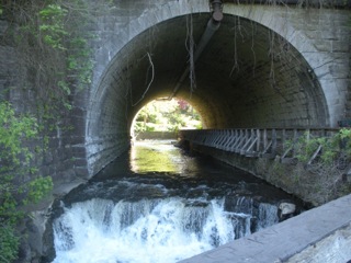 Corbett's Glen Tunnel