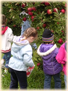 Apple picking at Lagoner Farms